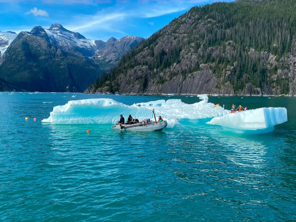 Glacier Ice in LeConte Bay