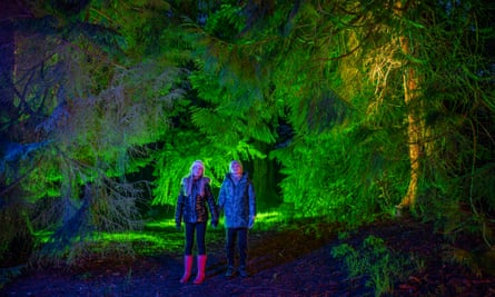 Monteviot Lights Near Jedburgh, Scottish Borders, Scotland. Picture Phil Wilkinson