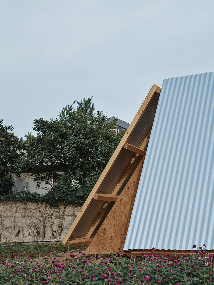 salazarsequeromedina & frank barkow present a garden pavilion at seoul biennale