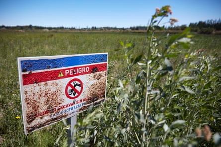 A sign reading ‘danger’ in a field of weeds 