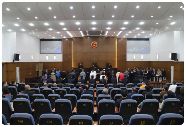 The culprits as they appeared for sentencing in Chongqing Tongliang District People's Court.