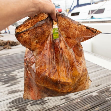 A ‘biodegradable’ plastic bag, after three years in the marine environment, which is clearly not degraded in any significant way.