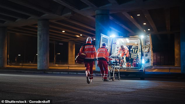 According to the American Medical Association, there are more cardiac deaths on Christmas Day than on any other day of the year, closely followed by Boxing Day and New Year's Day (File Photo)