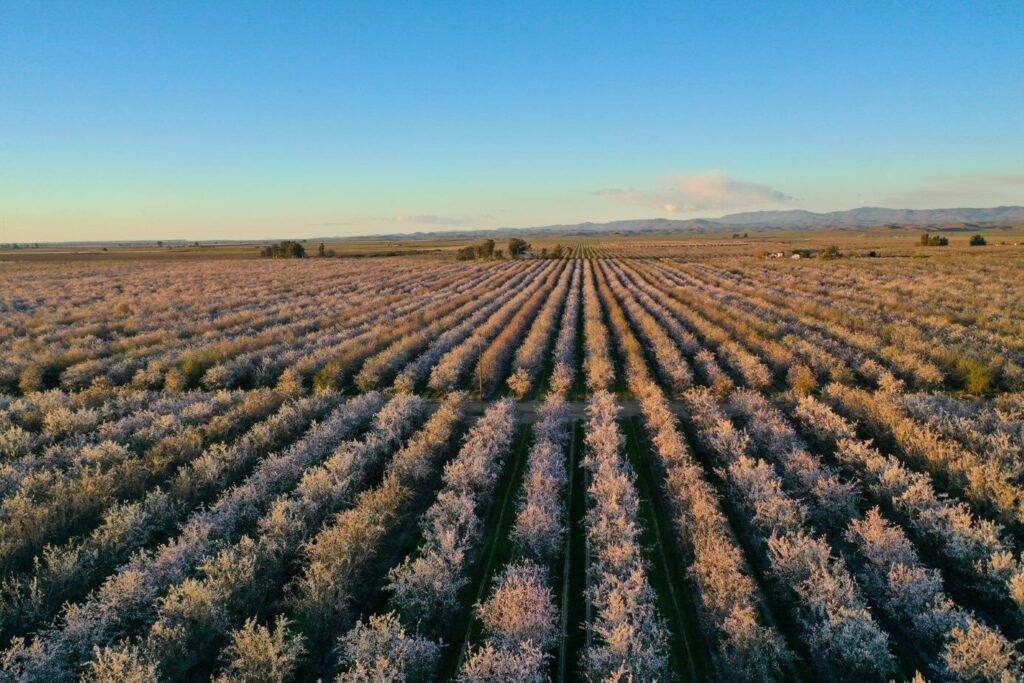 The KIND Almond Acres regenerative ag Initiative