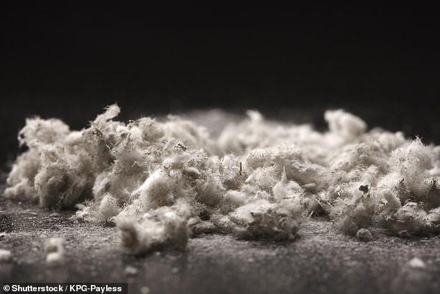 Companies have five years to remove asbestos from the first facility and up to 12 years to remove asbestos from all facilities