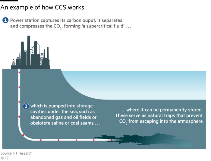 A diagram showing how carbon is captured and stored