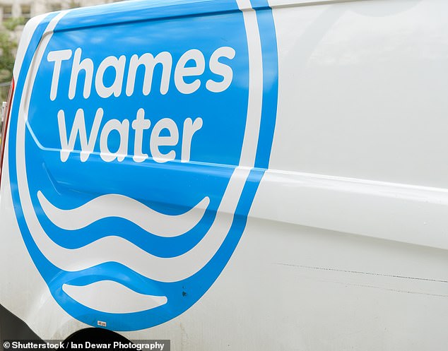 Under pressure: Sir Adrian Montague's presence at Thames Water was meant to ease financial tensions