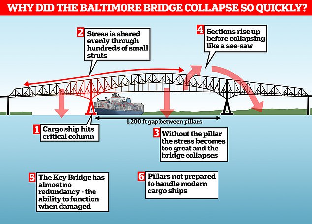 Speaking to MailOnline, engineers explained that while the bridge was not inherently unsafe, its 'flimsy' structure meant it was prone to collapse if the supports were damaged