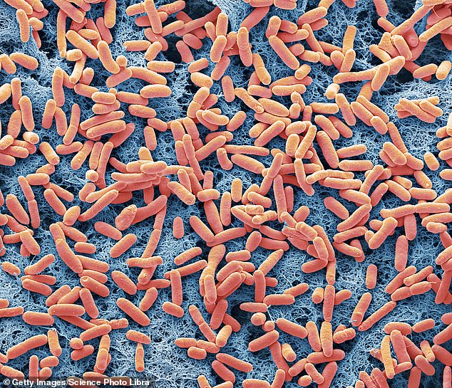 Antibiotic resistance is reaching dangerously high levels around the world. Drug-resistant infections kill more than 1.2 million people a year globally