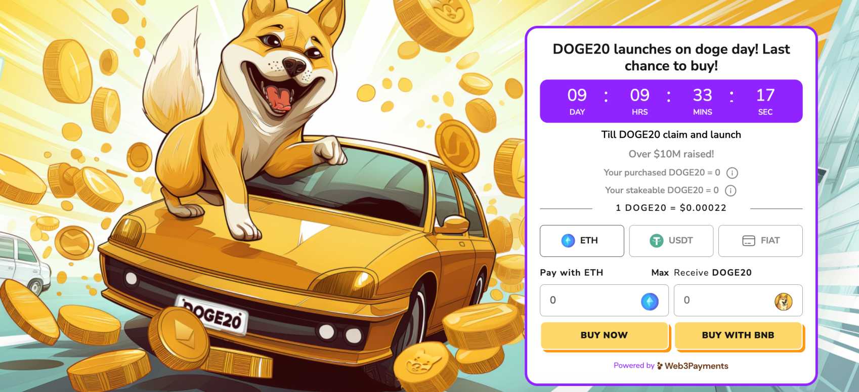 Dogecoin20 ICO review