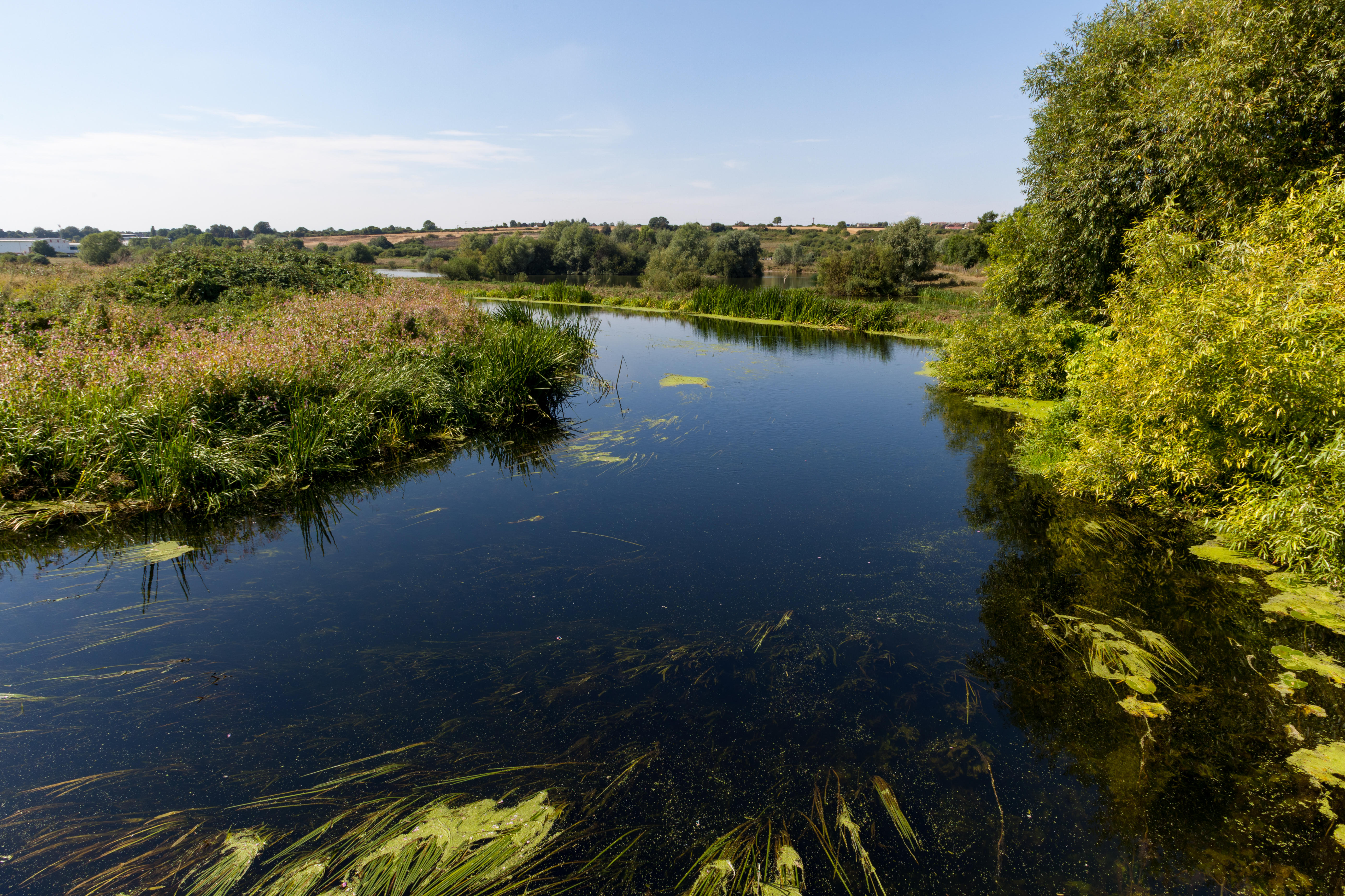 Stanwick Lakes has been praised on TripAdvisor, with a 4.5/5 star rating from nearly 1,000 reviews