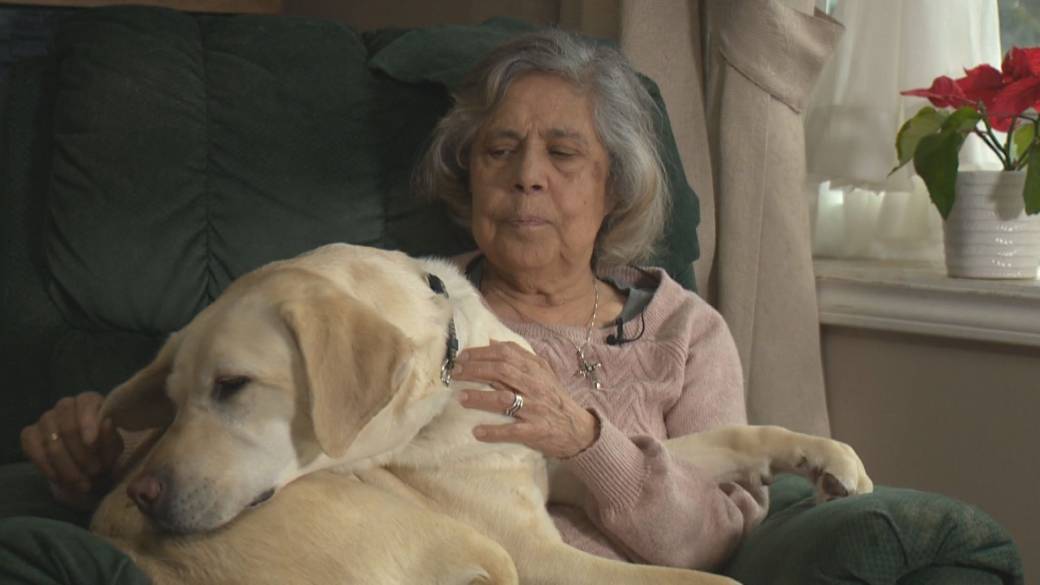 Click to play video: 'B.C. blind woman and guide dog refused taxi service'