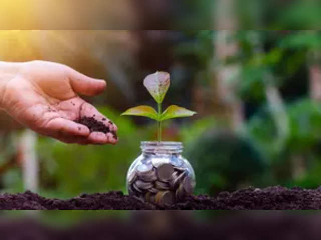 Motilal Oswal Multi Cap Fund