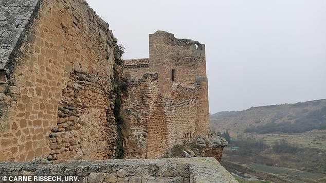 The woman's remains showed muscular marks on her shoulders and arms that were consistent with sword training attributes seen among warrior monks and while some researchers have also speculated that should was a servant in the castle who was called on to join the knights, the lead researcher doesn't believe that's the case because her bones would show signs of servant work