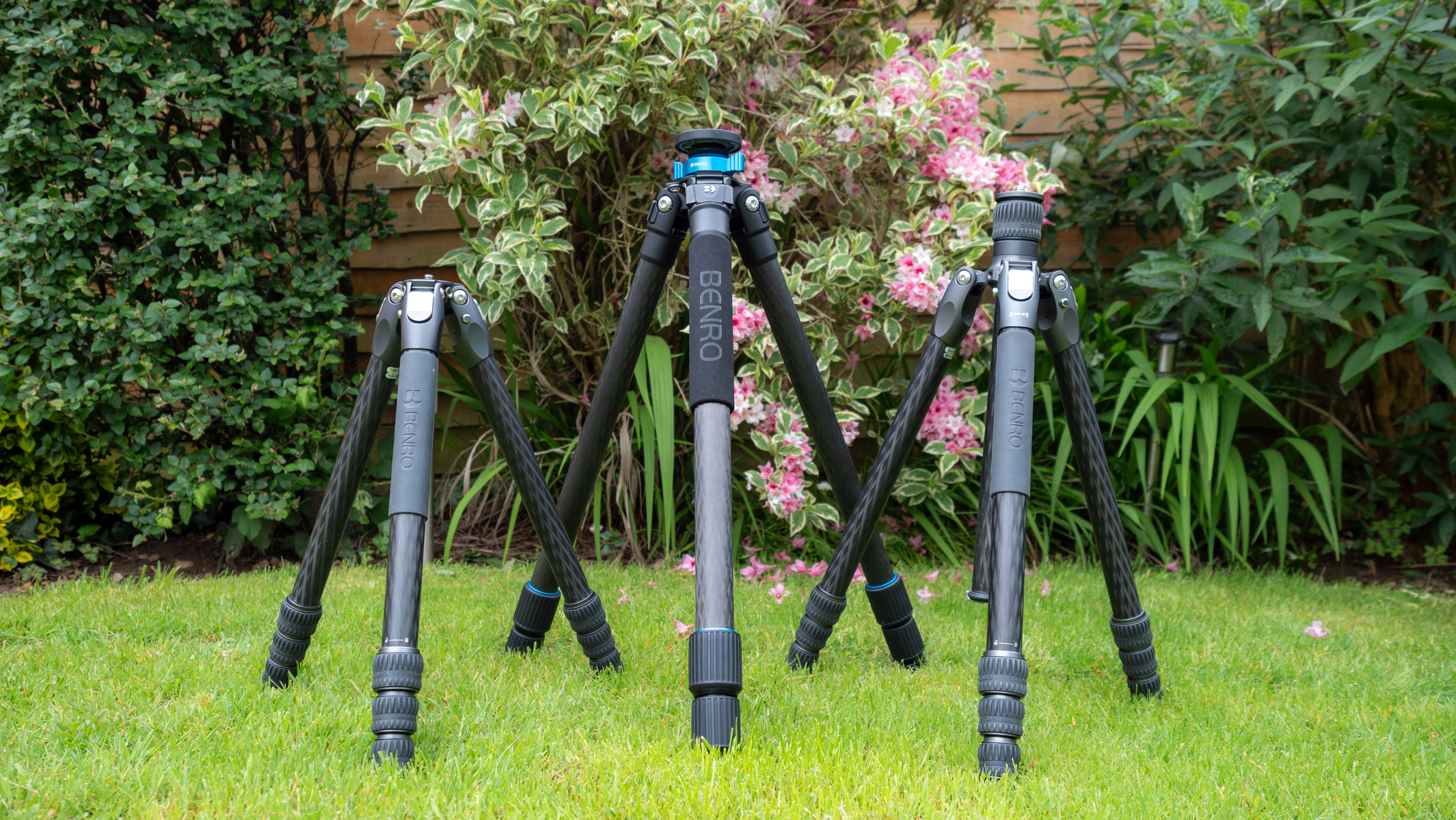 Benro Mach3, Benro Rhino and Benro Tortoise tripods in a garden