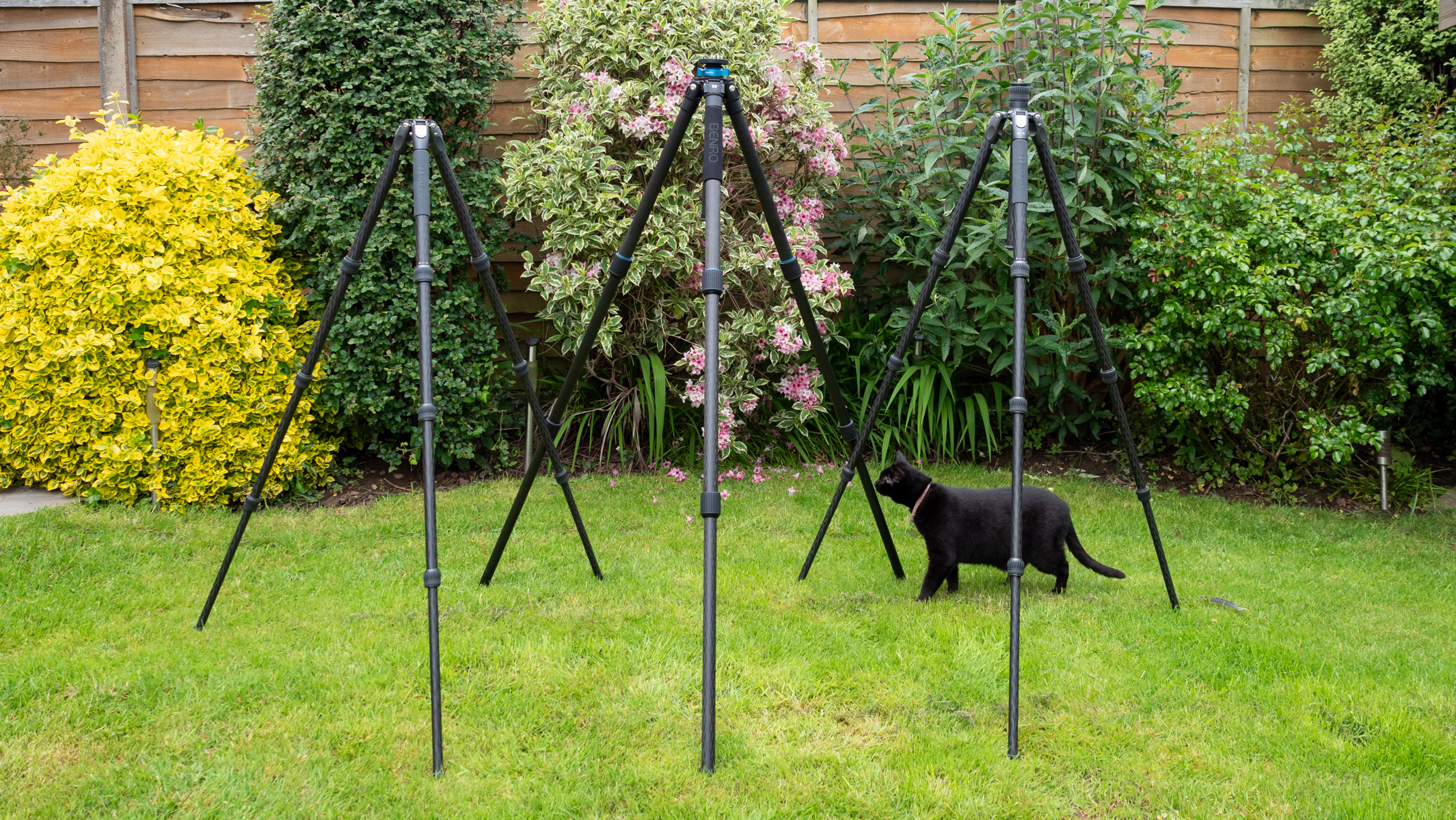 Benro Mach3, Benro Rhino and Benro Tortoise tripods in a garden