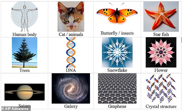 Professor Vopson thinks the prevalence of symmetry in the universe (pictured) suggests we are in a simulated reality because it's a way to save computational power