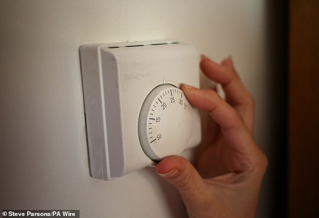 Savings: The Energy Saving Trust says turning down any ­thermostat one degree Celsius can shave at least £145 off the home heating bill