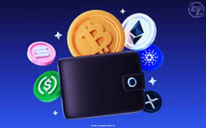 Bitcoin & Cryptocurrency Wallets Market