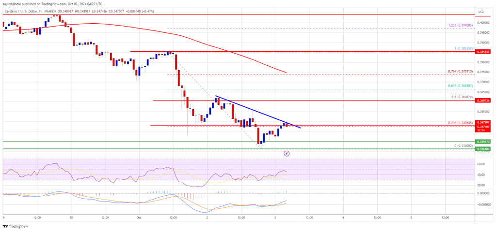 Cardano Price