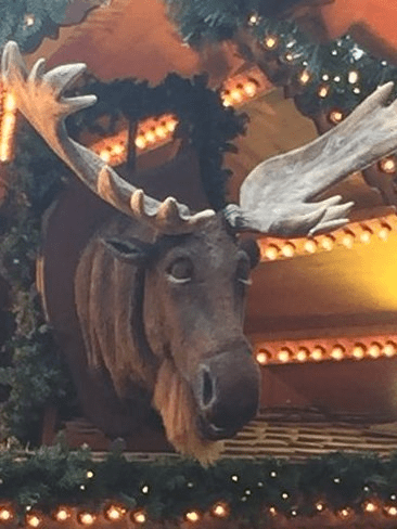 Perhaps the most famous attraction at the Birmingham Christmas market is a singing moose called Chris Moose