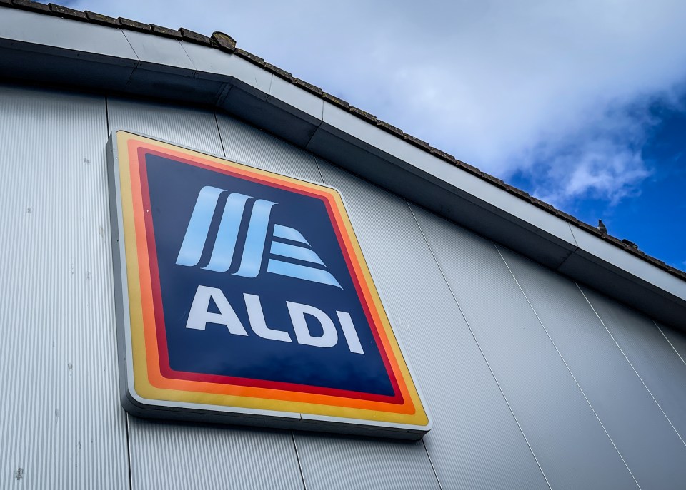 Shoppers are rushing to Aldi to get their hands on a Big Mac dupe