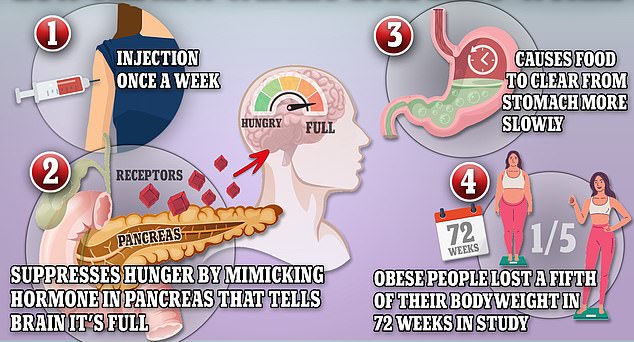 The above graphic shows how weight-loss drug Mounjaro - also known as tirzepatide - works. It suppresses hunger by mimicking hormones indicating that the body is full. It also slows the passage of food through the stomach by reducing the production of stomach acid and contractions of the muscle