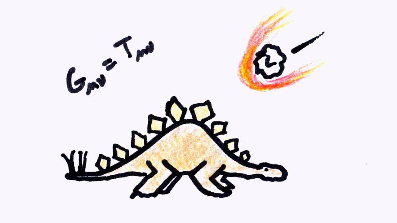 Evolution vs Natural Selection - YouTube