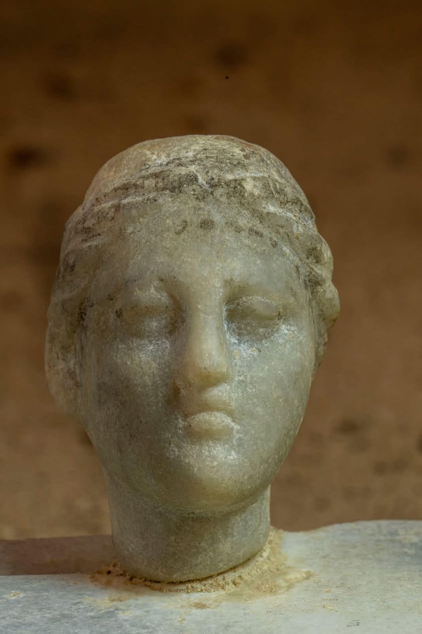 Bust of a female wearing a diadem may depict Cleopatra VII