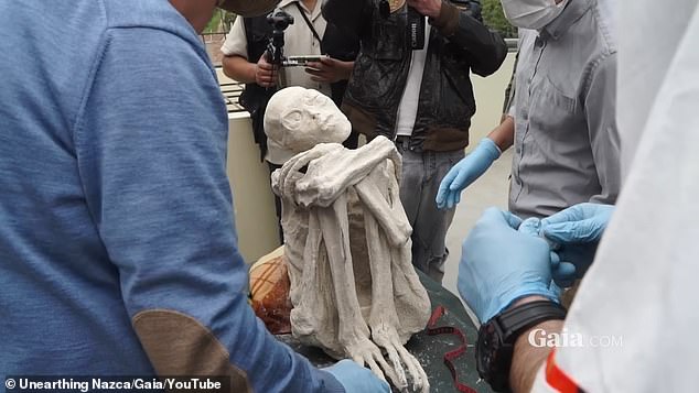 Three-fingered ' alien mummies' uncovered in Peru have largely been dismissed as a hoax by the scientific community, but a new study has suggested otherwise. A 2023 study analyzed one of the mummies named Maria