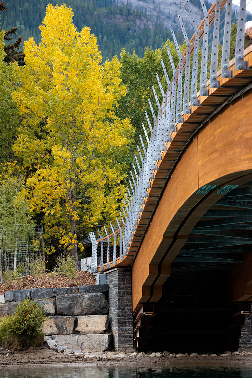 nancy pauw pedestrian bridge's timber arch spans over bow river in canada