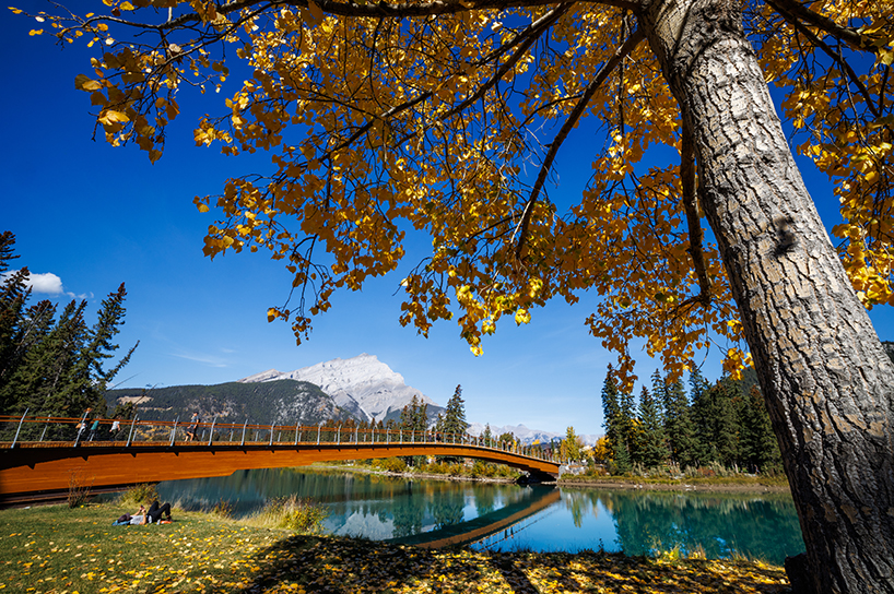 nancy pauw pedestrian bridge's timber arch spans over bow river in canada