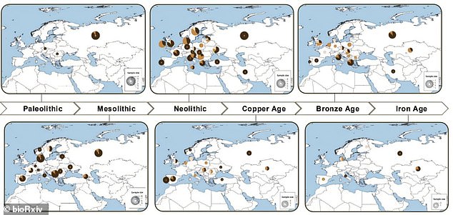 This image from the paper shows the various changes in skin colour throughout the ages across Europe, from light to dark and 'intermediate'