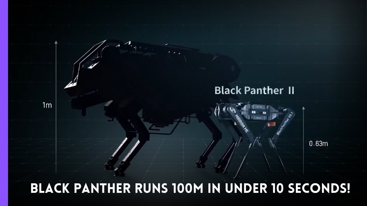 Robotic Dog Runs 100m in UNDER 10 SECONDS! (Black Panther 2.0) - YouTube