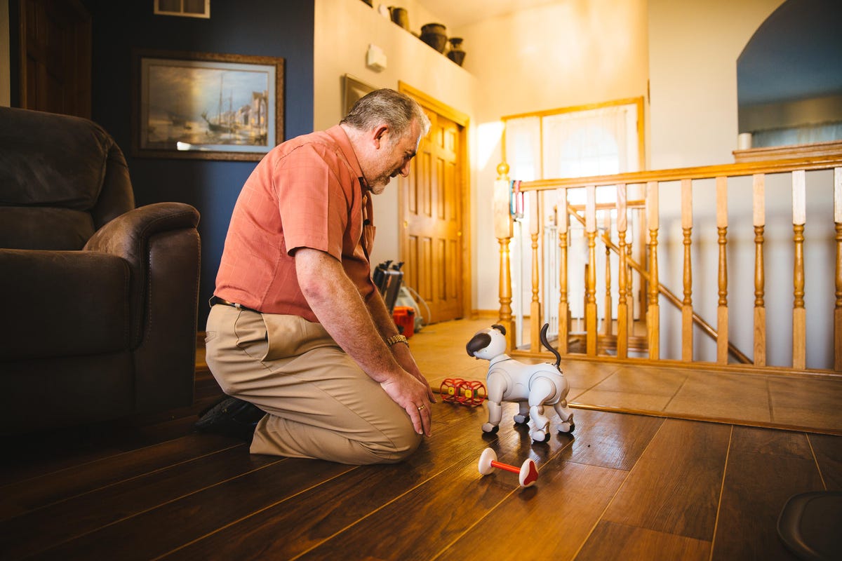 chris-benham-aibo-10