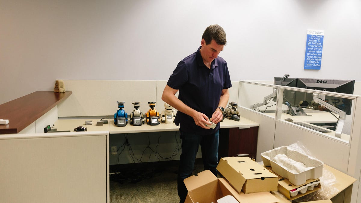 chris-werfel-aibo-3
