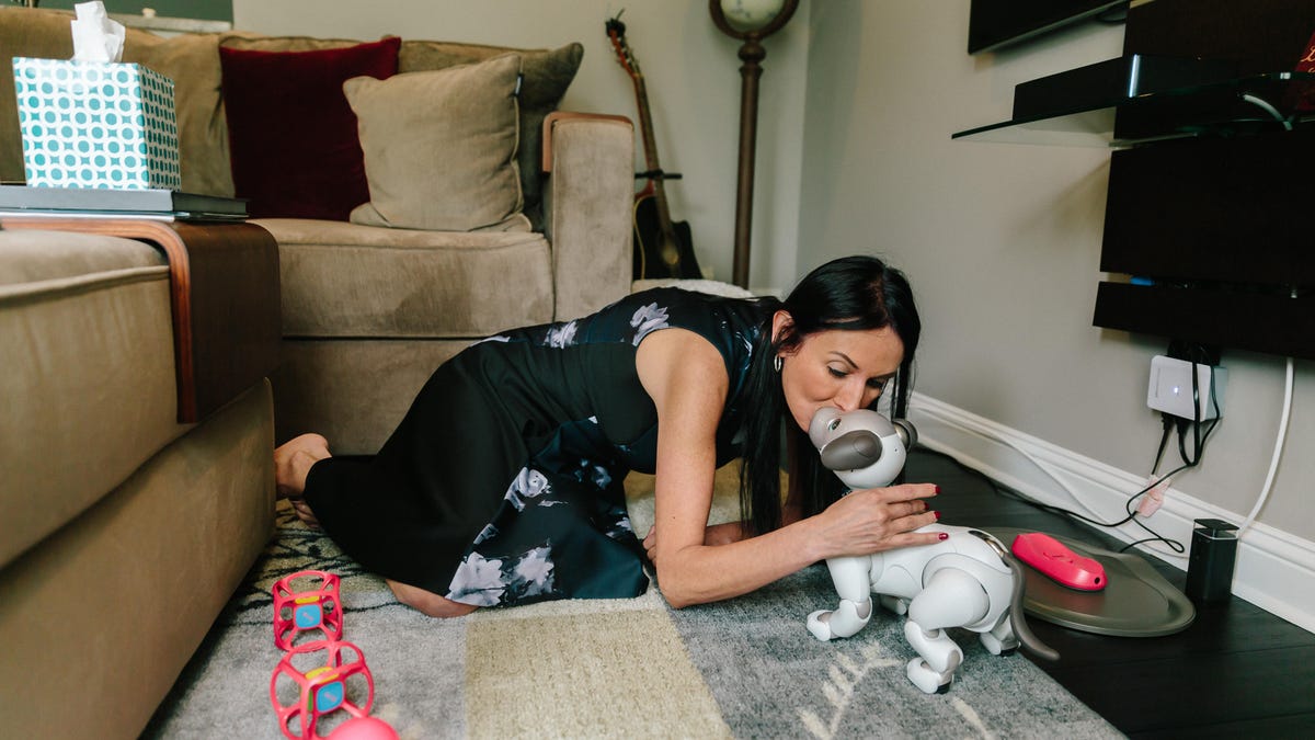 chris-werfel-aibo-18