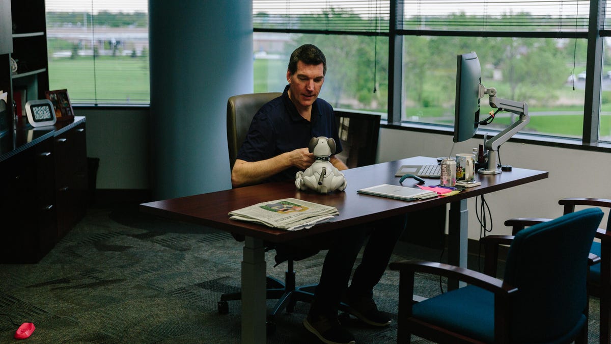 chris-werfel-aibo-9