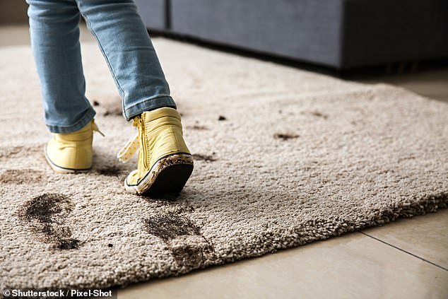 Dr Manal Mohammed, an expert in microbiology at the University of Westminster, said shoes tracking mud or dirt into carpets should be the least of our worries. Stock image