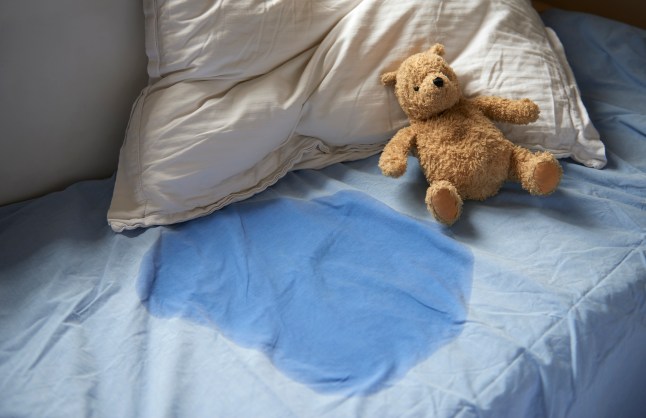 A child's wet bed with a teddy bear