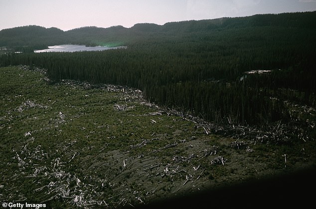 Like the Cumbre Vieja scenario, Lituya Bay’s mega-tsunami was driven by a landslide. Earthquakes in this region can shake loose massive amounts of rock from steep cliffs