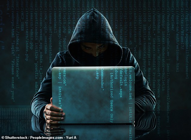 Under attack: Hackers can strike almost any firm, in any line of business, at any time and anywhere in the world