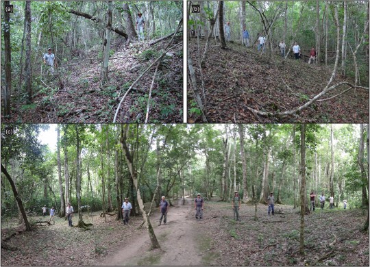 Photographs of several MCKB intersite causeways: (a) edge of the Mirador?Nakbe causeway; (b) the Mirador?Tintal causeway, showing the relative heights normal for the elevated intersite causeways; (c) the Jade causeway in Tintal is 40 m wide, typical of the Preclassic causeways in the MCKB.