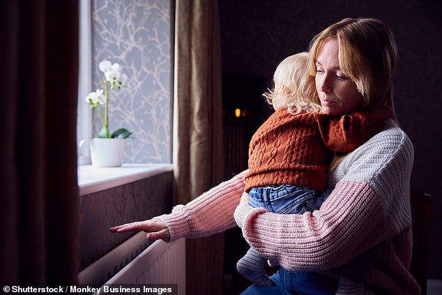 Tough times: Households have had to battle the double whammy of inflation and the energy crisis to stay warm this year