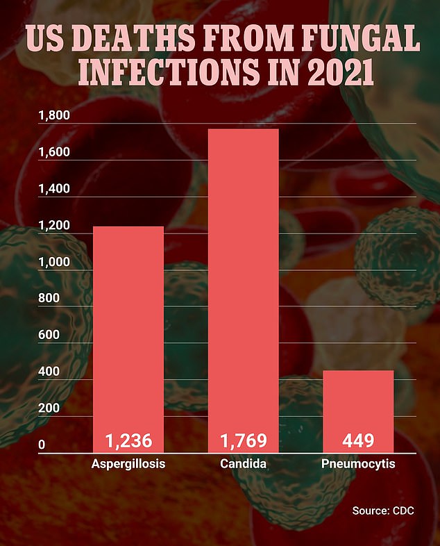 Candida caused 1,769 deaths in 2021, the most of any fungal infection in the US. Aspergillosis caused 1,236 deaths, while Pneumocytis was responsible for 449