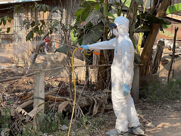 Workers in hazmat suits in Prey Veng province in Cambodia, where a school girl recently died from bird flu