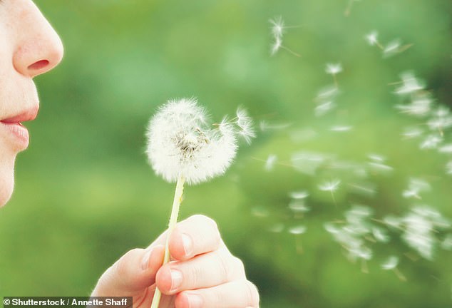 Rubbing petroleum jelly around your nostrils is a good way of protecting yourself against pollen. It helps to create a barrier and 'trap' the pollen before you breathe it in