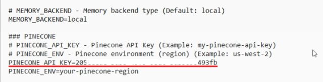 Add API Keys to Use Auto-GPT