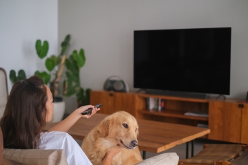 From a dog barking at the TV to hamster homes - your pet queries answered