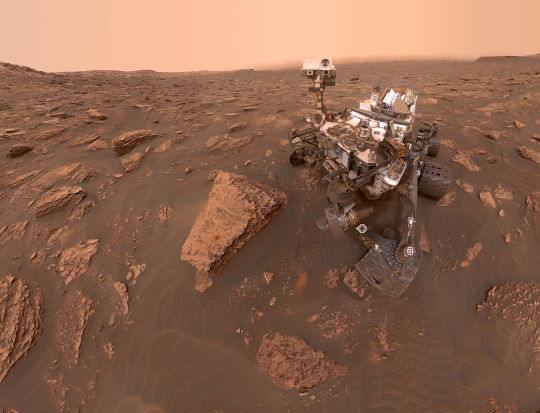 Curiosity takes a selfie